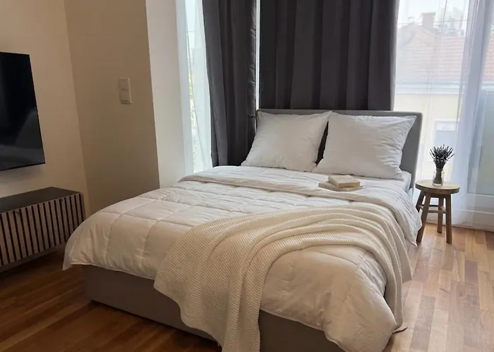 Appartement Modern 2 Bedroom With Free Parking Vienne